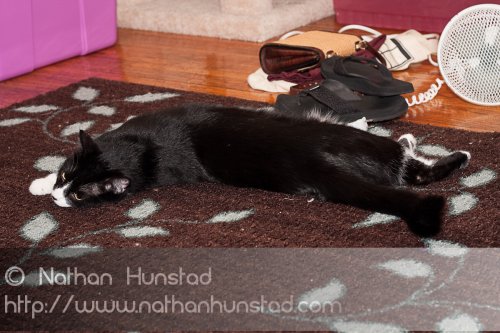 ???? all stretched out